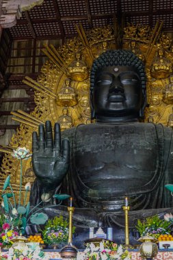 Büyük Buda (Daibutsu) Todaiji Pagoda içinde 