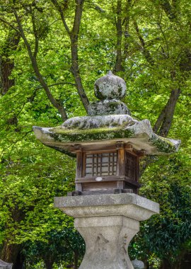Zen bahçesinde Japon taş fener 