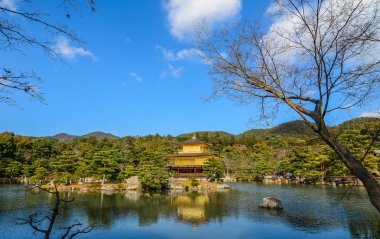 Kinkaku-ji Tapınağı: Kyoto, Japan