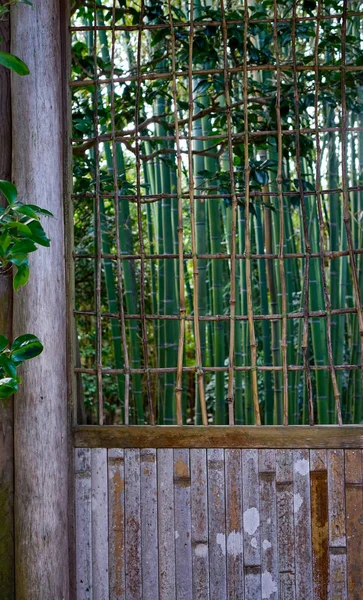 Bambú para decoraciones en el jardín japonés —  Fotos de Stock