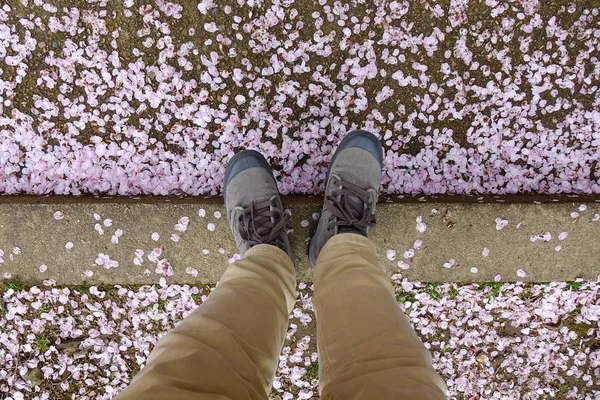 Man legs in shoes on cherry flower petals