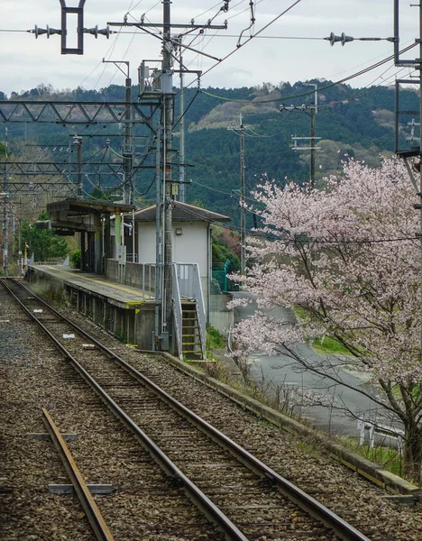 日本大阪乡村的铁路轨道 — 图库照片