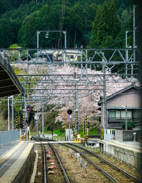 Σιδηροδρομικές γραμμές στην ύπαιθρο της Οσάκα, Ιαπωνία — Φωτογραφία Αρχείου