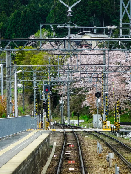 日本大阪乡村的铁路轨道 — 图库照片