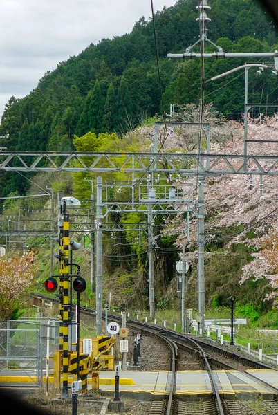 Koleje ve venkovských krajinnicích v Ósace, Japonsko — Stock fotografie