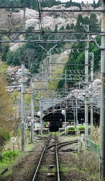 Osaka kırsalında raylar, Japonya — Stok fotoğraf