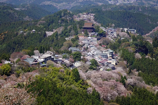 吉野山覆盖着盛开的樱花 — 图库照片