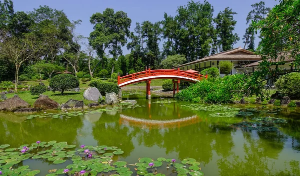 Rote Brücke mit Teich im japanischen Garten — Stockfoto
