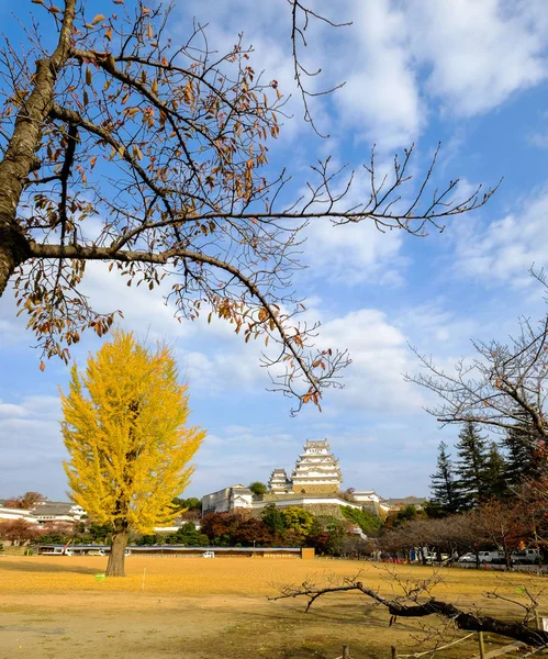 Himeji Castle and ginkgo tree in autumn
