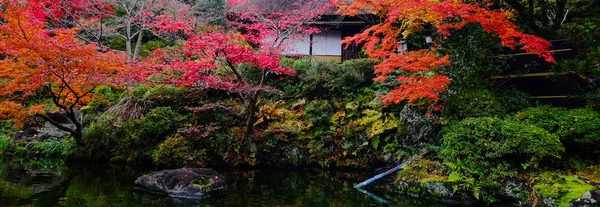 Jardim de outono em Kyoto, Japão — Fotografia de Stock