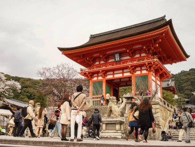 Baharda kiraz çiçekleri ile Antik tapınak