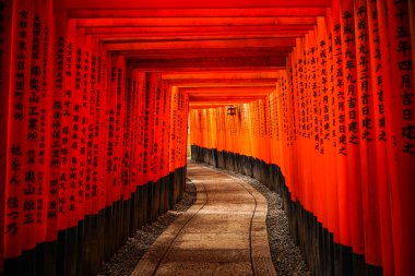 Fushimi Inari taisha tapınak kyoto, Japonya