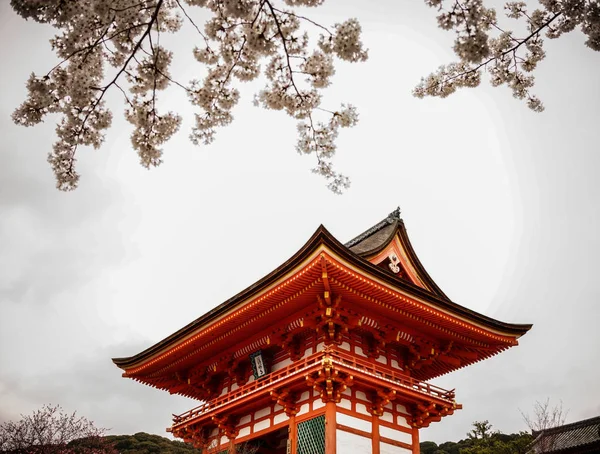 春の桜の花を持つ古代寺院 — ストック写真