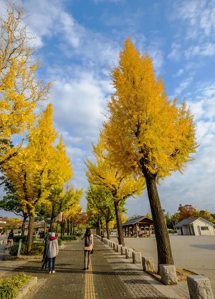 Οδός με φθινοπωρινά δέντρα στο Κιότο, Ιαπωνία — Φωτογραφία Αρχείου