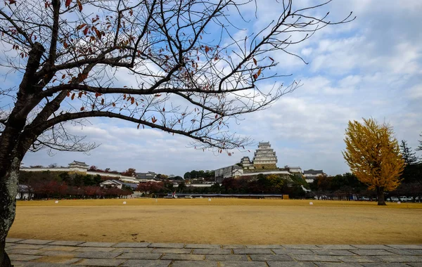 Himeji Castle and ginkgo tree in autumn