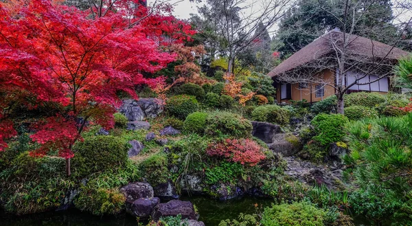 Jardín de otoño en Kyoto, Japón — Foto de Stock