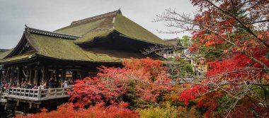 Kyoto, Japonya 'daki kiyomizu-dera tapınağı.