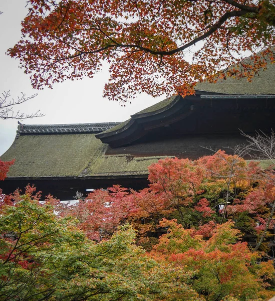 日本吉本的Kiyomizu-dera寺庙 — 图库照片