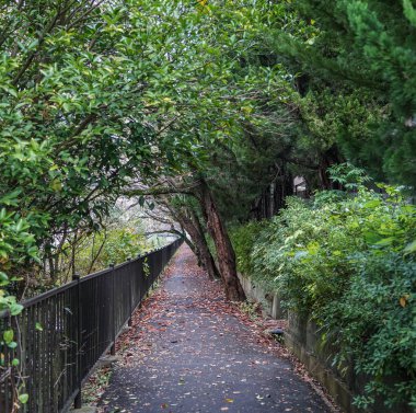 Filozof Walk in Kyoto, Japonya 