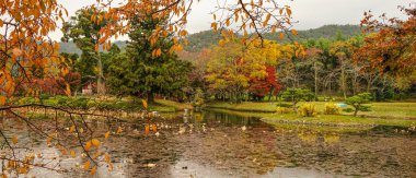 Kyoto'da sonbaharda göl manzarası, Japonya 