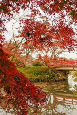 Kyoto'da sonbaharda göl manzarası, Japonya 