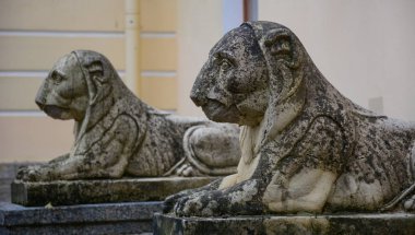 Antik sarayda aslan heykelleri 