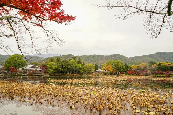 Paysages lacustres à l'automne à Kyoto, Japon — Photo