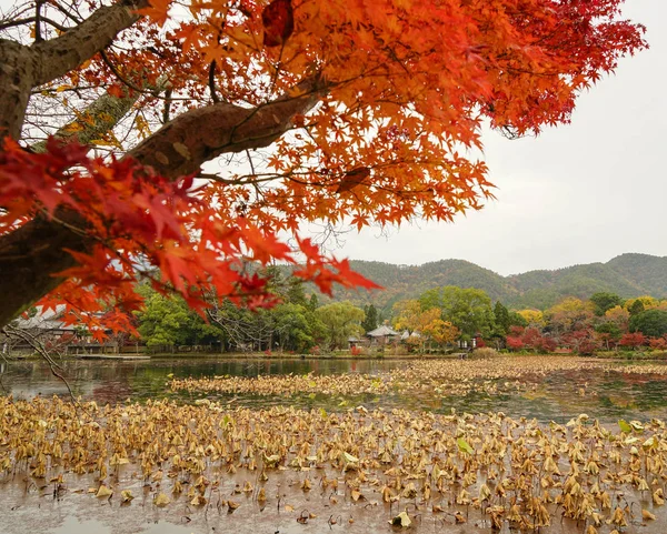 Paysages lacustres à l'automne à Kyoto, Japon — Photo