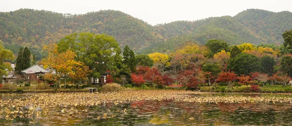 日本京都秋季湖景 — 图库照片