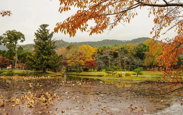 京都の秋の湖の風景 — ストック写真