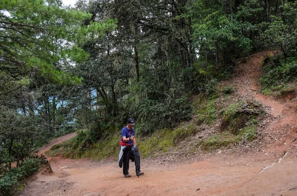 Forest trail to Taktshang Goemba — Stock Photo, Image