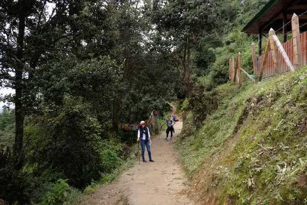 Camino del bosque a Taktshang Goemba —  Fotos de Stock