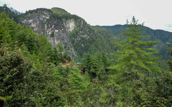 Berglandschap in Paro, Bhutan — Stockfoto