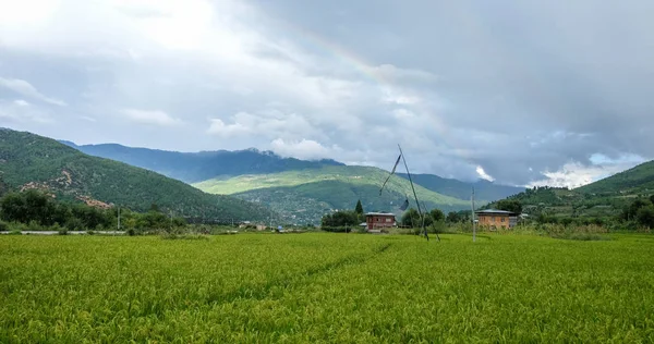 Rijstveld in Bhutan — Stockfoto