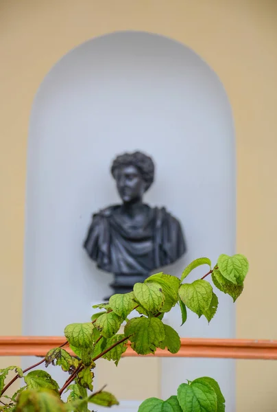 Folhas verdes com fundo de estátua de bronze — Fotografia de Stock