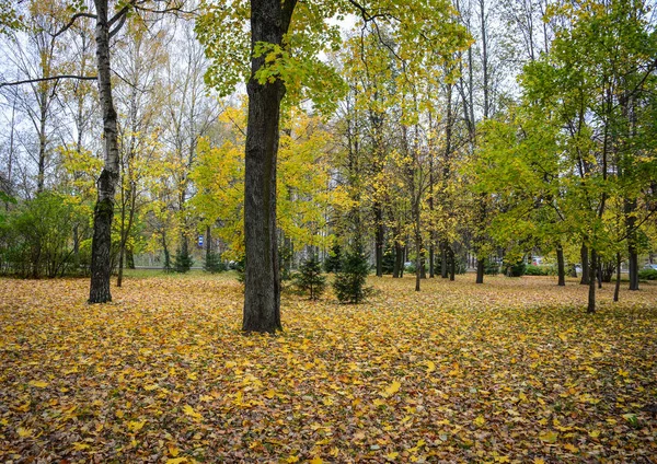 Herbstliche landschaft des heiligen petersburg, russland — Stockfoto
