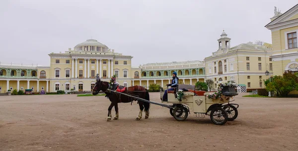 Carro tirado por caballos esperando turistas — Foto de Stock