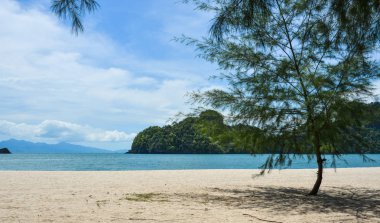 Yaz gününde el değmemiş kumlu plaj