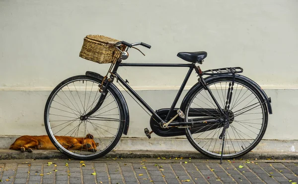 Altes Fahrrad am Bauernhaus — Stockfoto