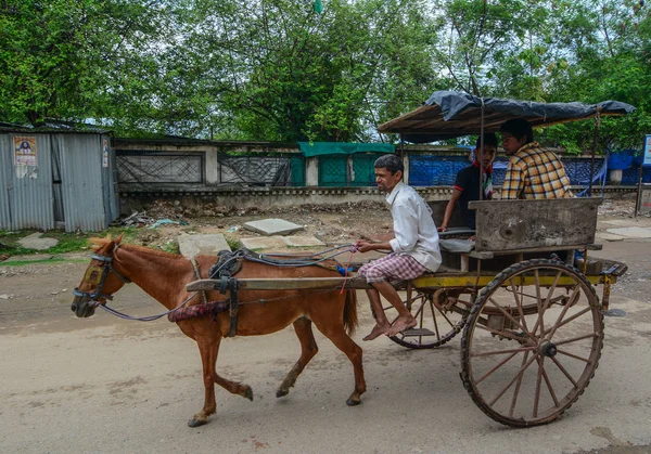Лошадиная повозка на улице в Бодхгае, Индия — стоковое фото