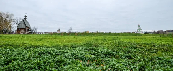 Травяное поле в Суздале, Россия — стоковое фото