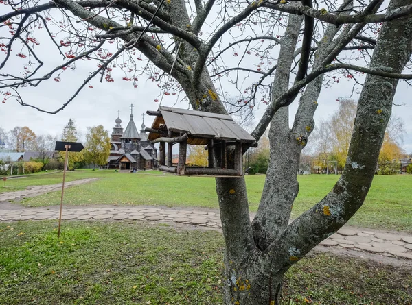 Hanging birdhouse on the tree — Stock Photo, Image