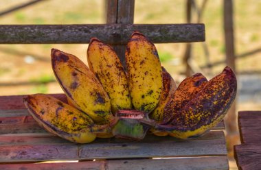 Perakende satış için ekili muz 