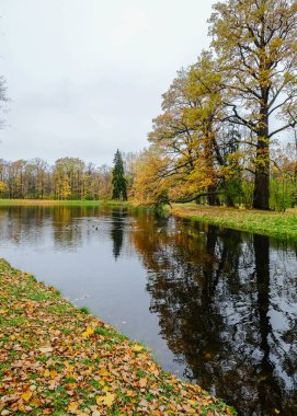 Saint Petersburg, Rusya'nın sonbahar park 