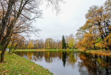 Saint Petersburg, Rusya'nın sonbahar park 