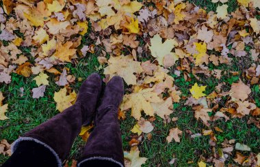 Saint Petersburg, Rusya'nın sonbahar park 