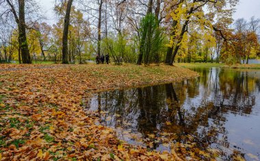 Saint Petersburg, Rusya'nın sonbahar park 