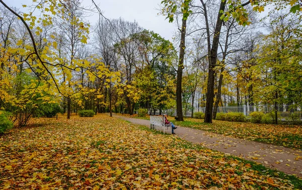 Jesienny park w Sankt Petersburg, Federacja Rosyjska — Zdjęcie stockowe