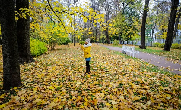 Parco autunnale a San Pietroburgo, Russia — Foto Stock