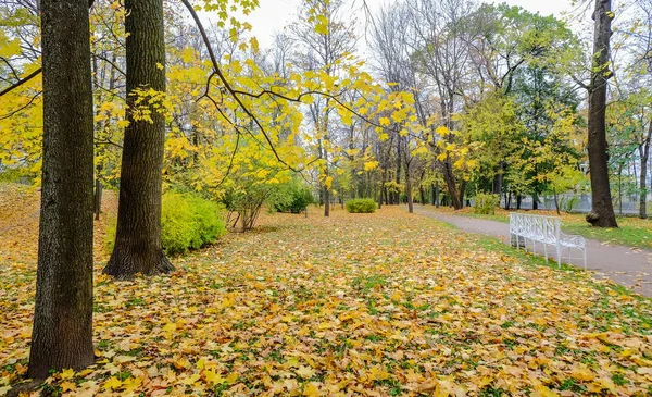 Hösten park i Sankt Petersburg, Ryssland — Stockfoto